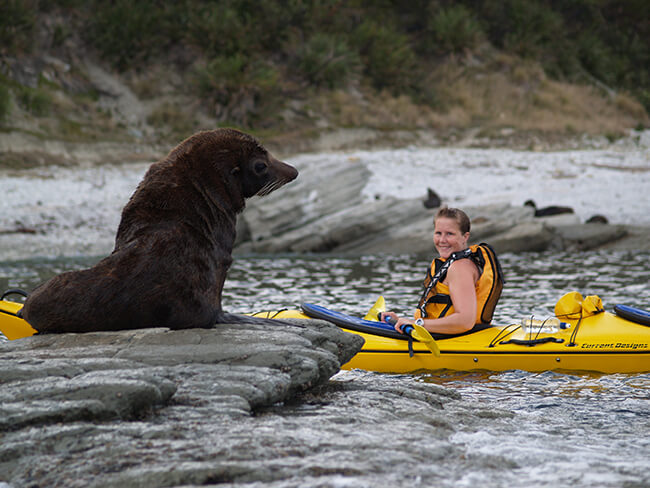 Guided Wildlife Kayaking Experience - Photo 1 of 5